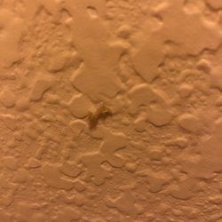 Toppenish Market Place - Found a dried booger in our bathroom....totally gross