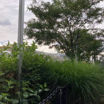 Lowry Beer Garden - B52 in hoding - Burgers Near Me - Denver, Colorado