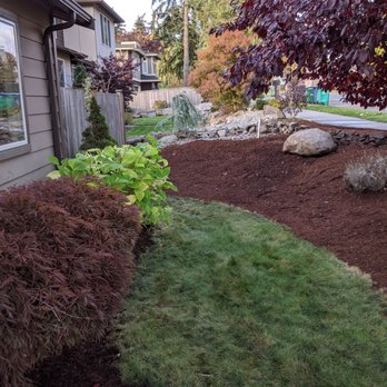 TSADEQ - Cleanup front yard - Landscaping Near Me