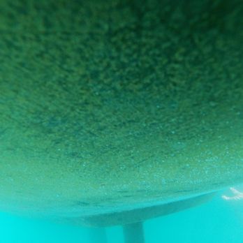 Poseidons Diver - Dirty bottom before - Boat Repair Near Me Poseidons Diver - Dirty bottom before - Boat Repair Near Me