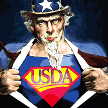 Aceland Mortgage - USDA loans! - Mortgage Brokers Near Me - Bloomfield, New Jersey