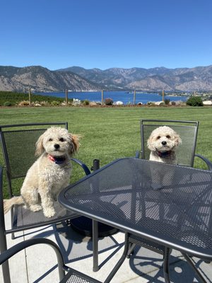 Silver Bell Winery by null