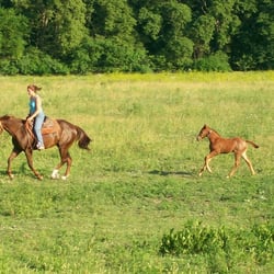 Double H Horse Farm