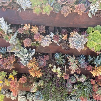 Waterwise Botanicals - Nurseries & Gardening Near Me - Bonsall, California Waterwise Botanicals - Nurseries & Gardening Near Me - Bonsall, California