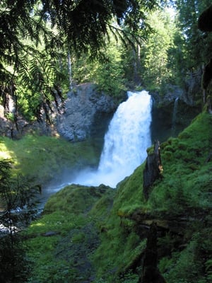 McKenzie Pass by null