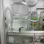 Photo of Alive Water
