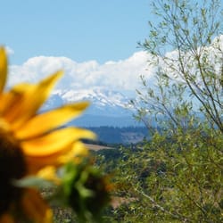 Morning Song Acres - Audrey's Garden