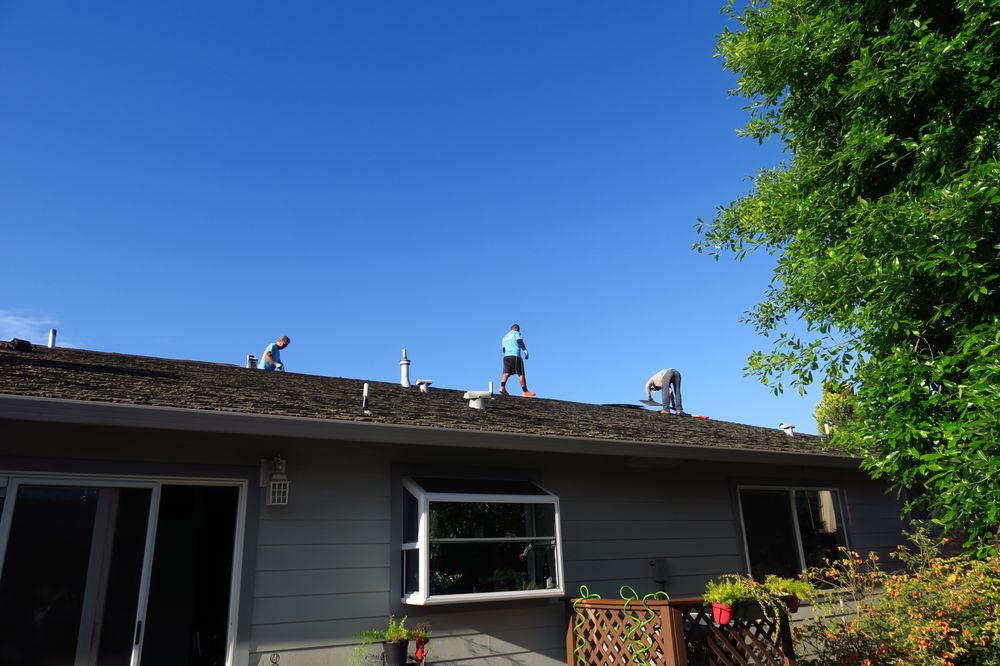 Slide of Noah's Roofing