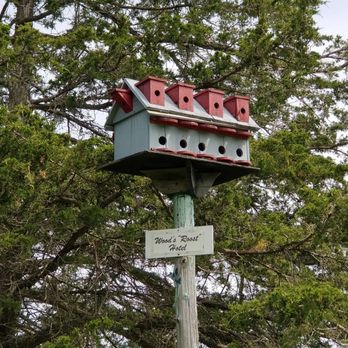 Birdhouse City - Local Flavor Near Me - Prince Edward, Ontario