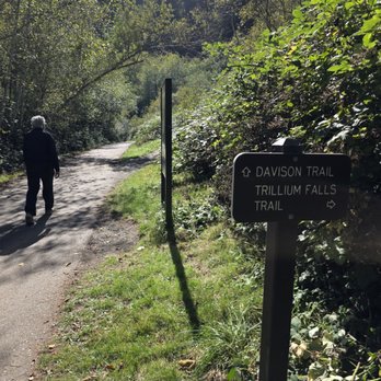 Trillium Falls Trail - Hiking Near Me