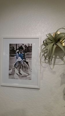 Paloma Parlor by null