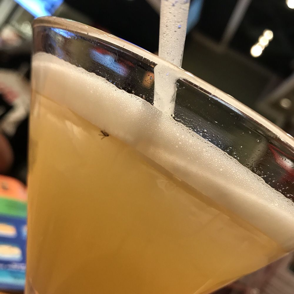Chili's - I got a fly in my mango patron margarita and they didn't even apologize they jus asked if I wanted a different drink smfh - Bars Near Me - Elizabeth, New Jersey