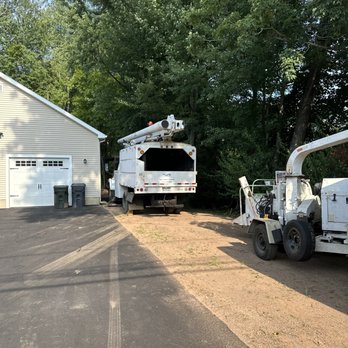 Lilly Lake Farm - Second job branches over hanging the house and power lines. - Tree Services Near Me - Wolcott, Connecticut Lilly Lake Farm - Second job branches over hanging the house and power lines. - Tree Services Near Me - Wolcott, Connecticut