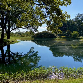 Feather Hills Vineyard and Winery - Gorgeous pond with seating around if you want to escape the crowds - Wineries Near Me - Cobden , Illinois Feather Hills Vineyard and Winery - Gorgeous pond with seating around if you want to escape the crowds - Wineries Near Me - Cobden , Illinois