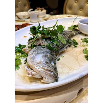 Auric King - Steamed fish. Didn't have scallions or ginger to make the flavour complex so it was a little bland. - Chinese Near Me - Markham, Ontario