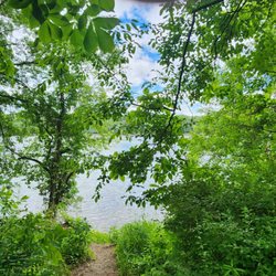 Bissell Bridge Boat Launch