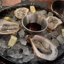 Oysters