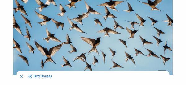 Inn at the Mission San Juan Capistrano, Autograph Collection by null