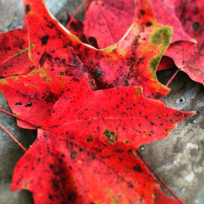 Inn On Columbia by null