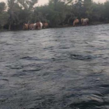 Salt River Tubing - Rafting/Kayaking Near Me - Mesa, Arizona