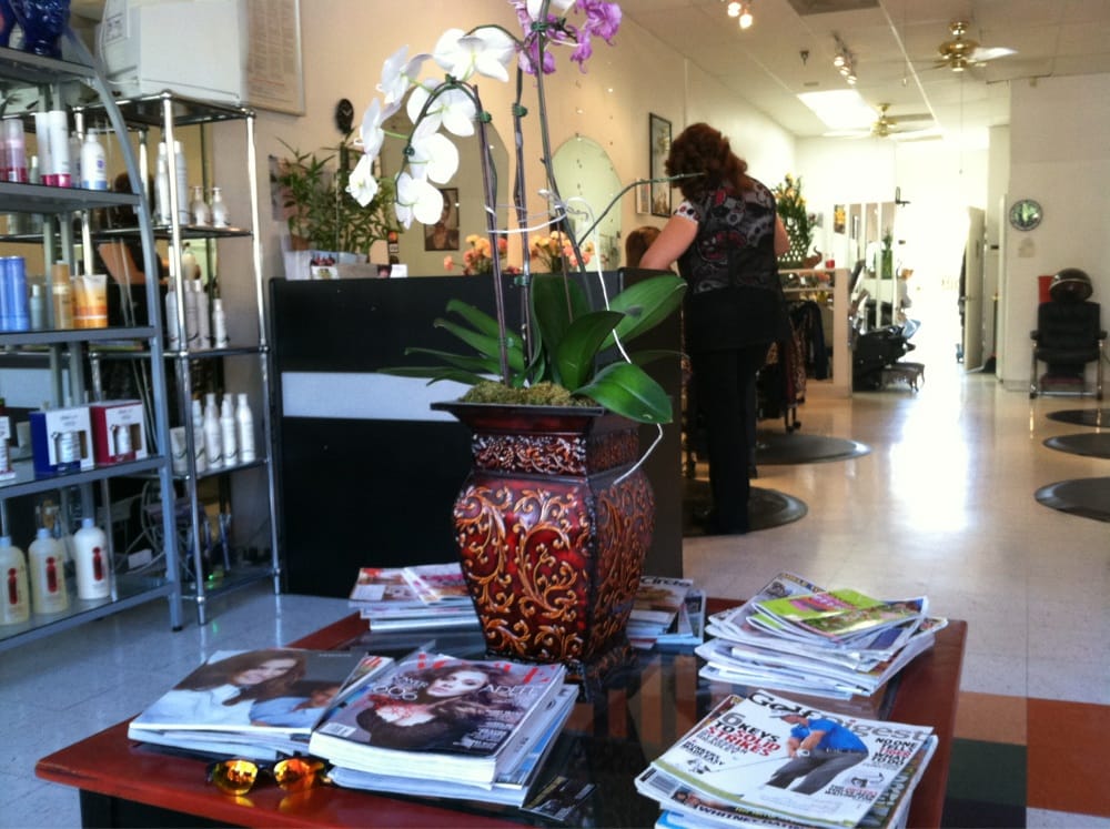 ALY’S HAIR SALON Updated August 2024 440 S El Cielo, Palm Springs