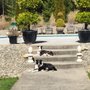 Photo of Coos Bay County Animal Shelter