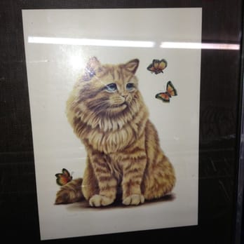 Goodwill - Used, Vintage & Consignment Near Me - Manchester, Missouri