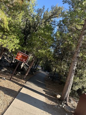 Roaring River Falls by null