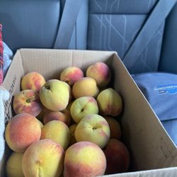 Jackie's Market - Peaches watermelon and jam/jelly