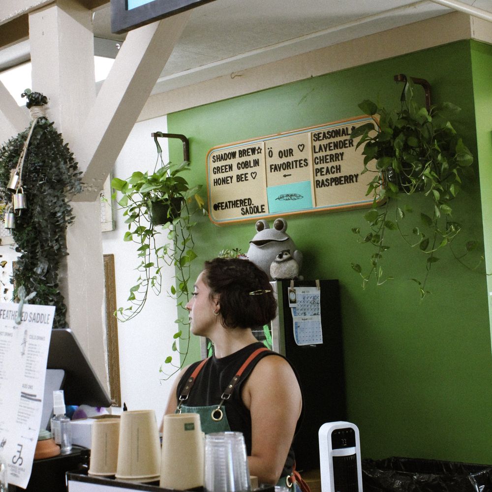 Feathered Saddle Coffee - Feathered Saddle Coffee - Coffee & Tea Near Me - Carol Stream, Illinois Feathered Saddle Coffee - Feathered Saddle Coffee - Coffee & Tea Near Me - Carol Stream, Illinois