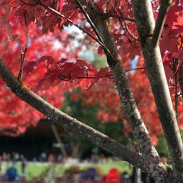 Found sign of autumn here early October. My favorite season Found sign of autumn here early October. My favorite season
