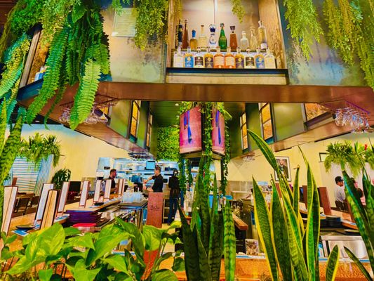 Flecha Cantina by null