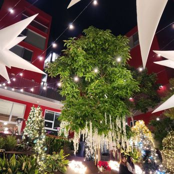 insideOUT - Dining for their Holiday Oasis Experience! - Lounges Near Me - San Diego, California