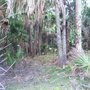 Photo of Brickyard Slough Tract Conservation Area.