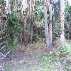 Brickyard Slough Tract Conservation Area. - Nice wooded area