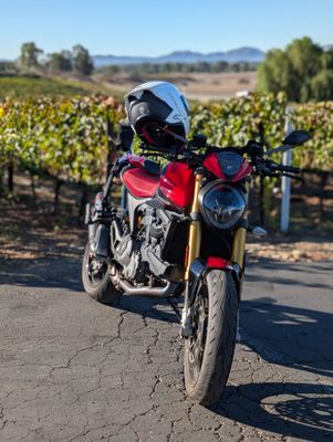 Doffo Winery by null