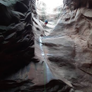 Desert Highlights - Tours Near Me - Moab, Utah