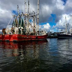 Firehouse Boil - Shrimp fleet, fresh wild caught