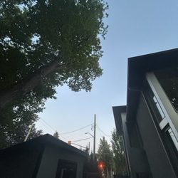 Cooper Tree Services