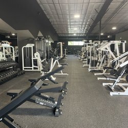 Elite Fitness - Everything you need for your strength training needs