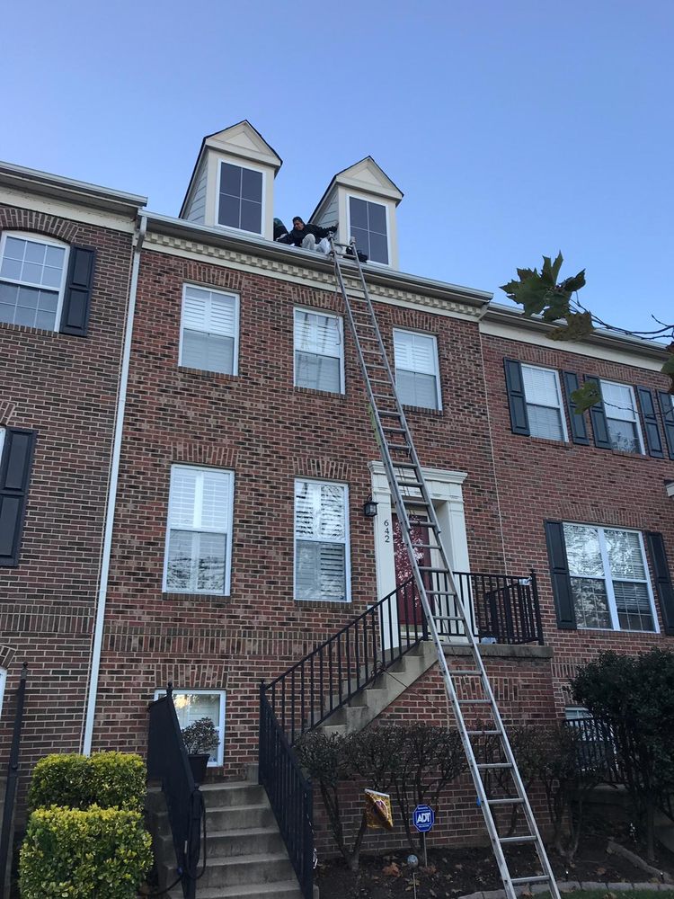 Slide of Salvador's Painting