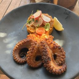 Pulpo. Grilled octopus Pulpo. Grilled octopus