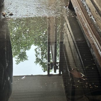 Stern Property Management - Sump Pump NOT WORKING & DRAINAGE BACKED UP.  Unable to access vehicle without wading through ankle high water. - Property Management Near Me - Los Angeles, California