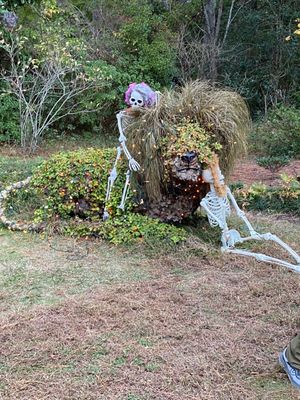 Cape Fear Botanical Garden by null