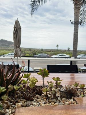 Bird Rock Coffee Roasters - Torrey Pines by null