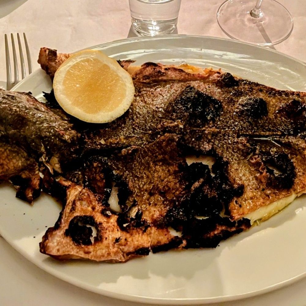 Borgo - The star of the meal: Branzino! Iykyn - Italian Near Me - New York, New York Borgo - The star of the meal: Branzino! Iykyn - Italian Near Me - New York, New York