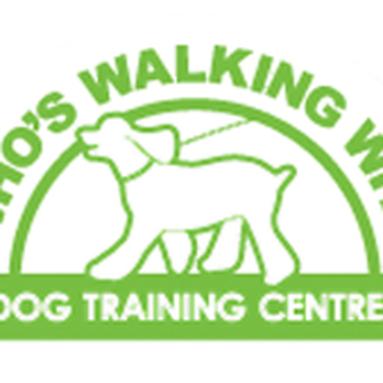 1. Who's Walking Who Dog Obedience