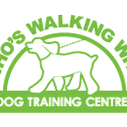 Who's Walking Who Dog Obedience