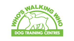 Who's Walking Who Dog Obedience Image