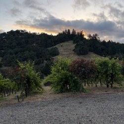 Cu Dona Winery